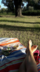 piknik